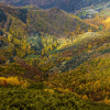 Devesa da Rogueira en Otoño Espectacular mosaico de colores otoñal formado por la variedad de especies arbóreas que pueblan la Devesa da Rogueira, uno de los entornos naturales con más biodiversidad de Galicia.